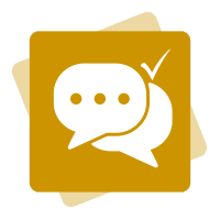 6 6